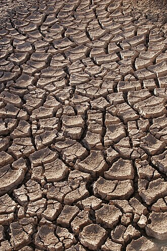 Drought