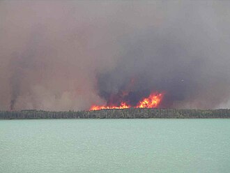 Wildfire flames